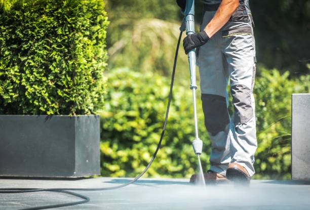 Animal Enclosure Cleaning in Punaluu, HI